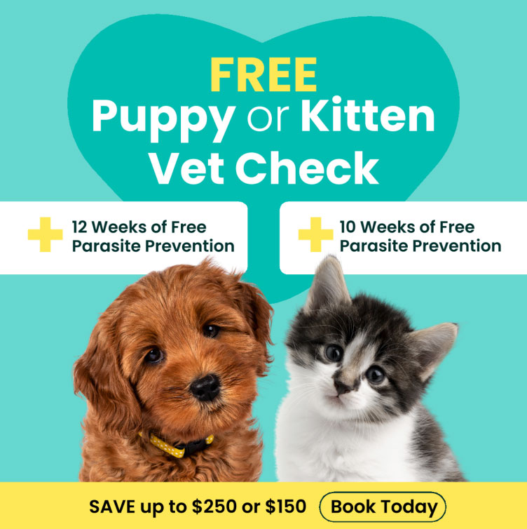 Free Puppy Kitten Checks - Book Online