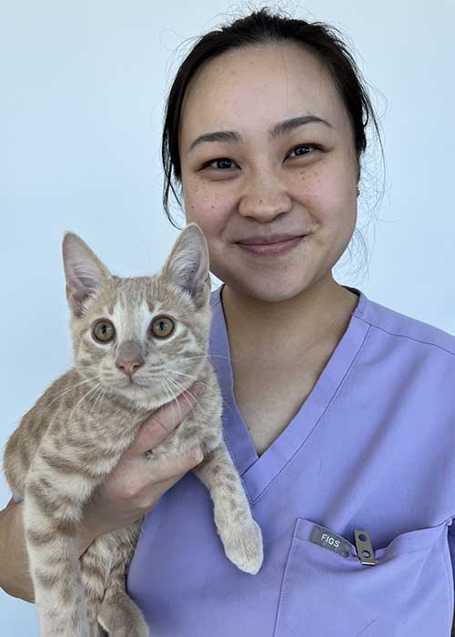 Dr Karine Chan